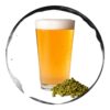 kit bere all grain brews brothers single hop amarillo