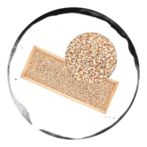Malt de Grau Weyermann Wheat Dark - 1kg