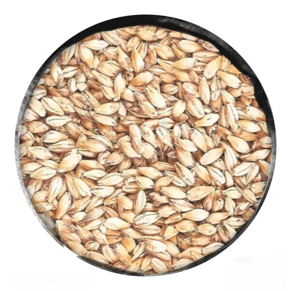 Malt de Orz Weyermann Munich Type 1 - 1kg