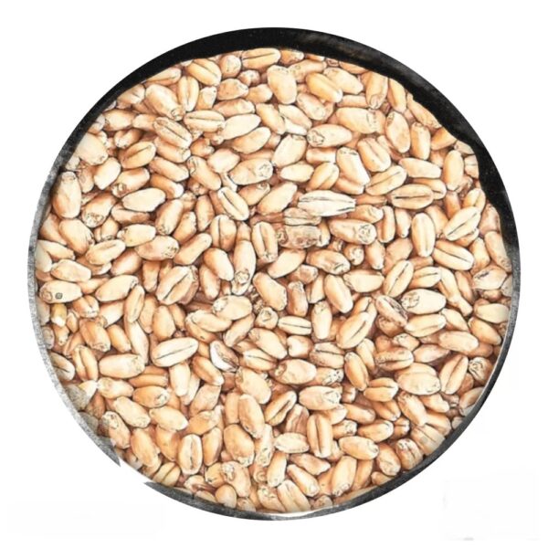 Malt wheat pale