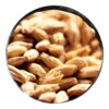 Malt WRM Pilsner Premium Extra Pale
