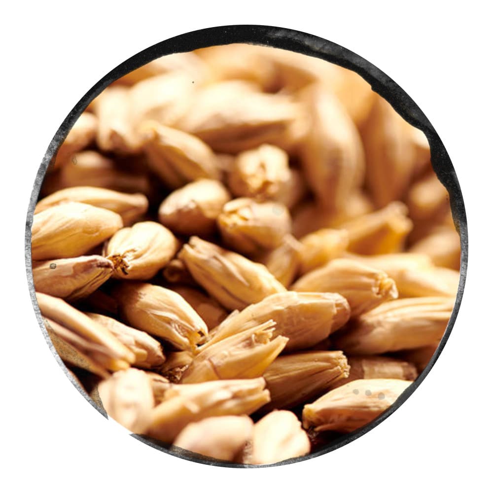 Malt WRM Pilsner Premium Extra Pale