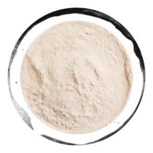 extract malt pudra pale